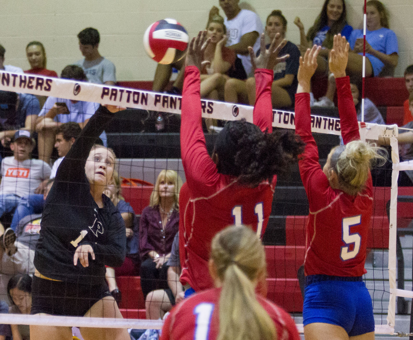 Free Patt vball 2.jpg